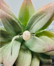 Load image into Gallery viewer, 8x10 Oval Keepsake Ring