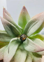 Load image into Gallery viewer, 8x10 Oval Keepsake Ring