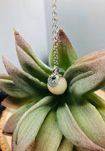 Load image into Gallery viewer, Pearl Bead Keepsake Necklace