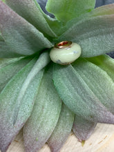 Load image into Gallery viewer, Pandora Keepsake Bead