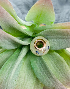 Pandora Keepsake Bead
