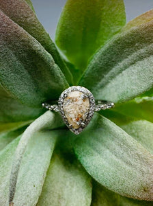 Large teardrop halo